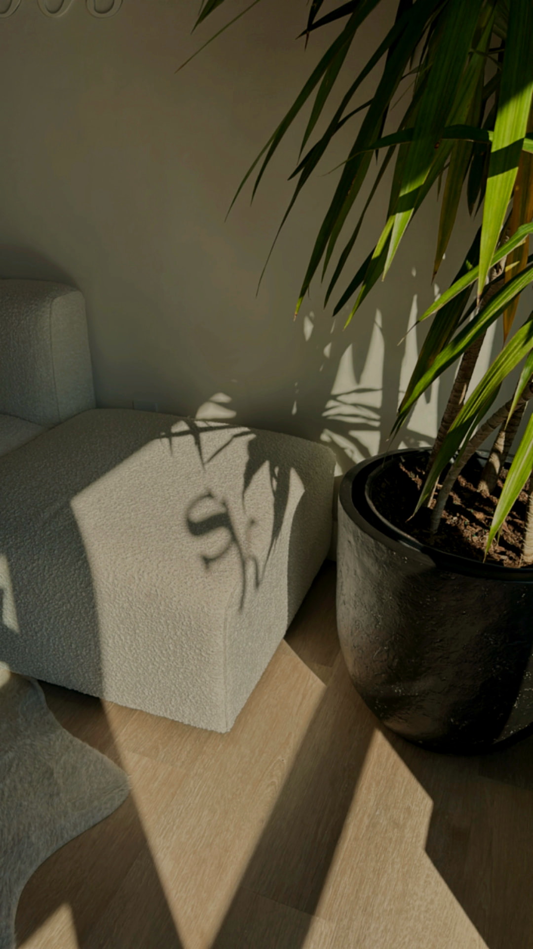 Sunlit corner of the Studio KEJ space with greenery and bouclé seating